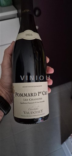 Borgoña No especificado Premier Cru Domaine Vaudoisey Les Chanlins 2023