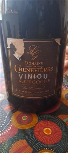 Borgogna Domaine S Chenevières 2019
