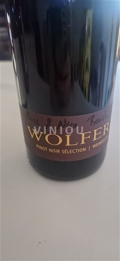 Turgovia Thurgau DOP Wolfer Pinot Noir Sélection 2023