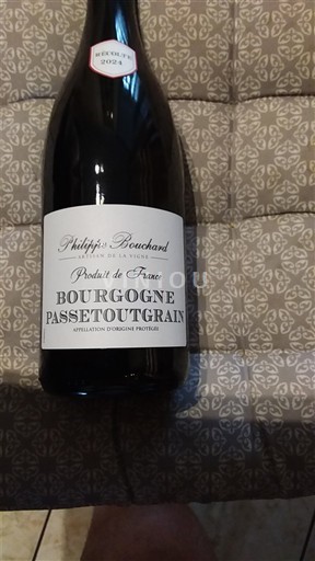 Bourgogne Bourgogne-passetoutgrain Philippe Bouchard 2024