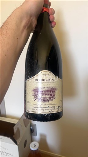 Borgogna Jean-Michel Guillon et Fils 2002