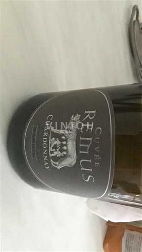 Valle della Loira Pouilly-sur-Loire Cotes de la charité Rémus 2022