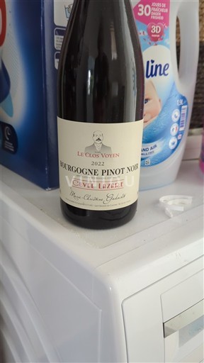 Borgogna Non specificato Le Clos Voyen Lezbre 2022