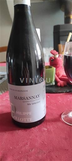 Bourgogne Marsannay Philippe Collotte Ma Sélection 2021