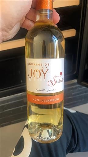 Sud-Ouest Côtes de Gascogne Domaine Joÿ St. André Non Millésimé