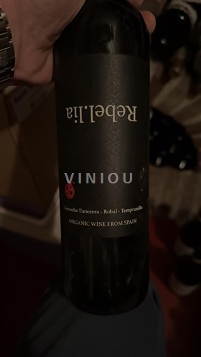 Cộng đồng Valencia Valencia Rebel·la 2017