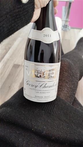 Bourgondië Gevrey-Chambertin Domaine Quivy Les Jeunes Rois 2011