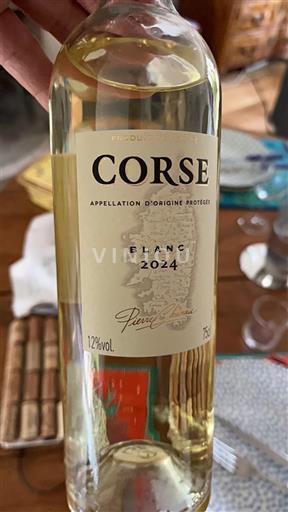 Korzika Korziška Sans 2024