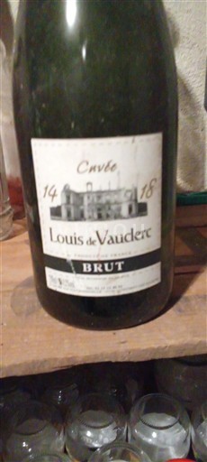 Vale do Loire Crémant-do-loire Louis de Vauderc 14-18 Não Sazonado