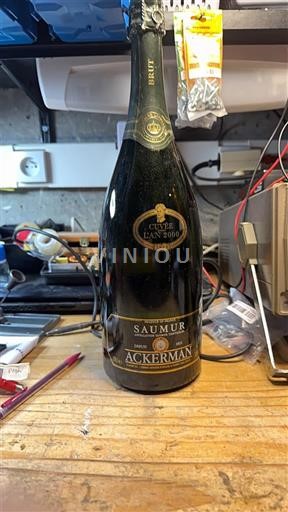 Thung lũng sông Loire Saumur Ackerman Jean Ackerman 2020