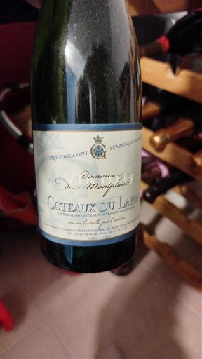 Loire Valley Coteaux du Layon Domaine Montplaisir Non-Vintage