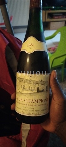 Thung lũng sông Loire Saumur-champigny Domaine La Perruche 1986