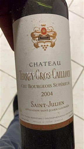Bordeaux Saint-Julien Château Terrey-Gros-Cailloux 2004
