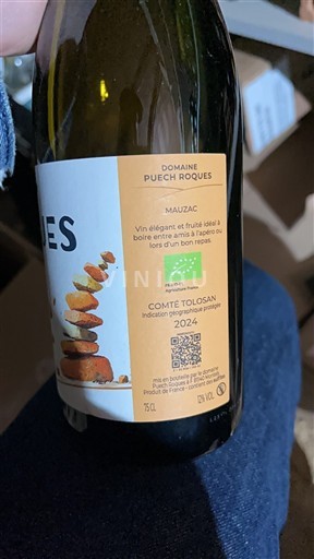 Südwestfrankreich Comté Tolosan Domaine Puech Roques 2024