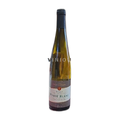 Alsace Pinot blanc Cave d'Ingersheim Collection privée 2024