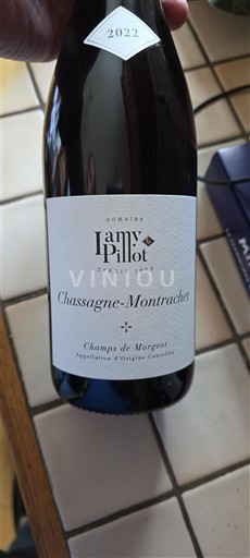 Borgoña Chassagne-Montrachet Domaine Lamy-Pillot Champs de Morget 2022