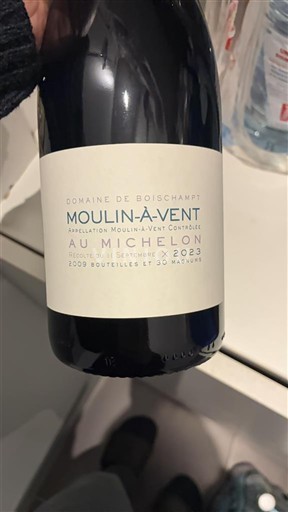 Beaujolais Moulin-à-vent Domaine Boischampt Au Michelon 2023