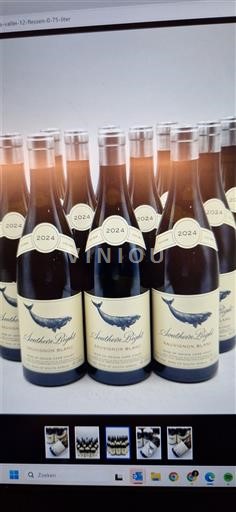 Costa Sur del Cabo Walker Bay Southern Right Sauvignon Blanc 2024