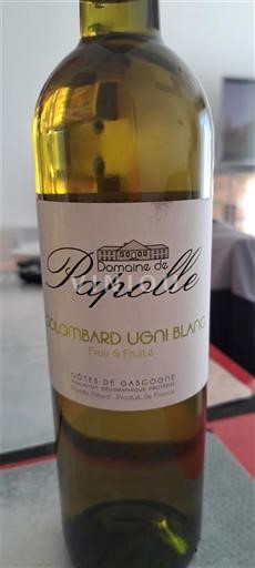 Sudoeste Côtes de Gascogne Domaine Papolle Colombard Ugni Blanc 2021