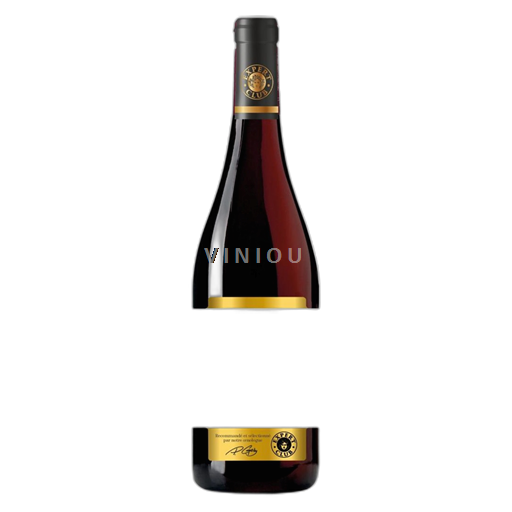 Burgund Hautes Côtes de Nuits Domaine Gérard Boyer 2023