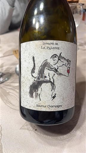 Valle della Loira Saumur-Champigny Domaine La Paleine 2020