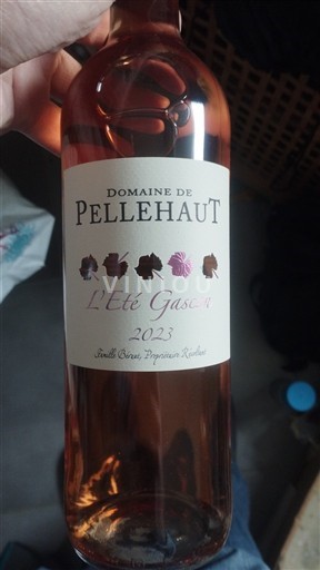 Tây Nam Côtes de Gascogne Domaine Pellehaut L'Été Gascon 2023