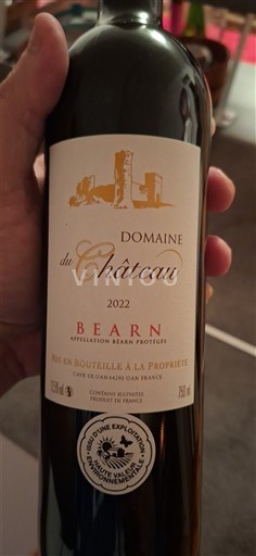 Tây Nam Béarn Château Château 2022