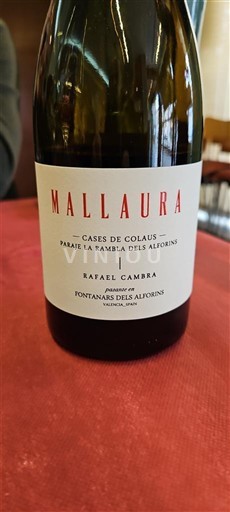 Cộng đồng Valencia Valencia Rafael Cambra Mallaura 2023