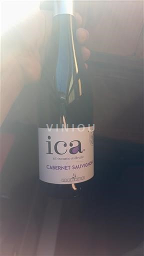 Languedoc ja Roussillon Pays d'Oc Ici Comme Ailleurs Cabernet Sauvignon Ei vuosikertaa