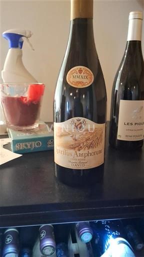 Lionese Coteaux del Lionese Domaine David Spiritus Amphorum 2019