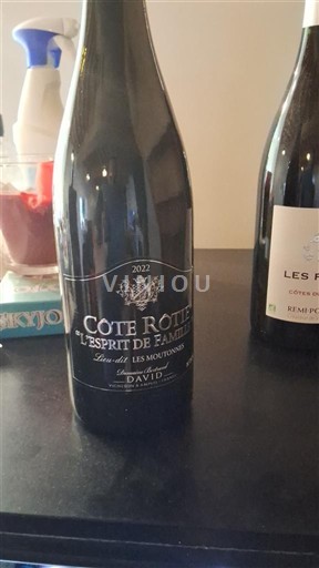 Valle del Ródano Côte-rôtie David L'Esprit de Famille Lieu-dit Les Moutonnes 2022