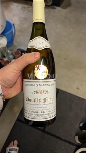 Valle della Loira Pouilly-fumé Jean Pabiot et Fils 2023