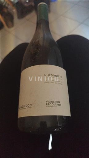 Langvedok Languedoc L'Hédoniste Maind Agot 2023