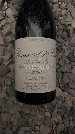 Borgoña No especificado Premier Cru Nicolas Potel Les Saussilles 2000
