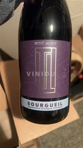 Dolina Loare Bourgueil Petit Mont 2021