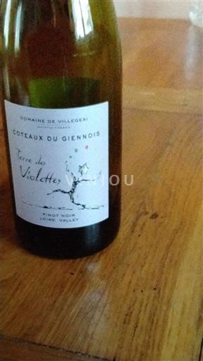 Valle della Loira Coteaux-du-giennois Domaine Villegas Terre des Violettes Senza annata