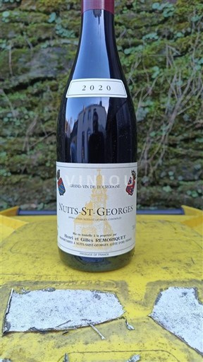 Borgoña Nuits-Saint-Georges Domaine Remoriquet 2020