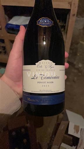 Valle della Loira Non specificato Maison Colin Seguin Le Téméraire 2023