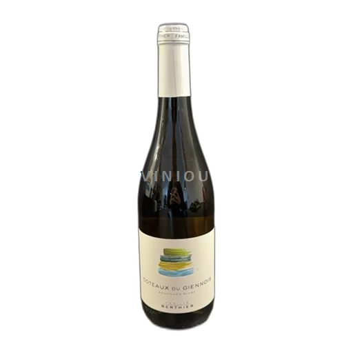 Valle della Loira Coteaux-du-giennois Berthier 2024