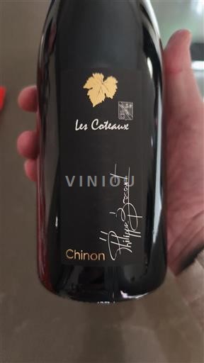 Valle del Loira Chinon Philippe Brocourt Les Coteaux 2021