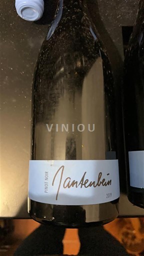 Valais Nespecifikováno Gantenbain 2019