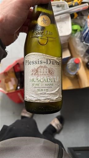 Valle del Loira Muscadet-sèvre-et-maine Plessis-Duval 2020