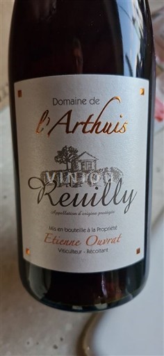 Valle della Loira Reuilly Domaine L'Arthuis Senza annata