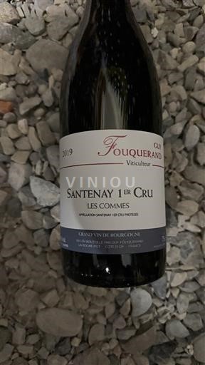 Vina Rouge sec Les Commes Fouquerand 2019 Francija Burgundija Santenay AOC Premier Cru