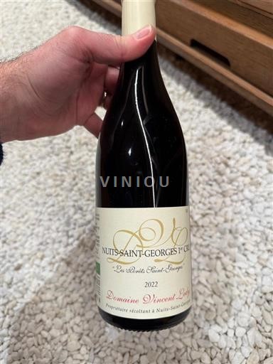 Vine Rouge sec Les forêts Saint-Georges Domaine Vincent Ledy 2022 Frankrig Bourgogne Nuits-Saint-Georges AOC Premier Cru