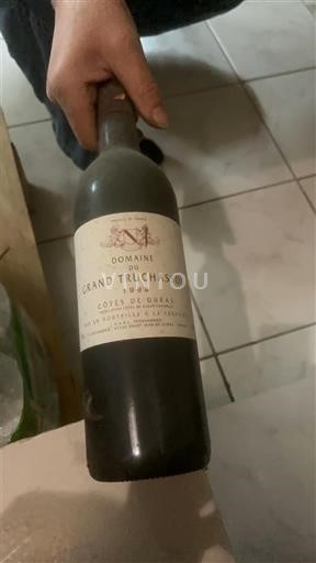 Bordeaux Côtes-de-bourg Domaine Grand Truchassant 1998
