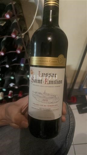 Bordeaux Lussac-saint-émilion Château Vieux Château des Aubrigues Falgueyrat 2021