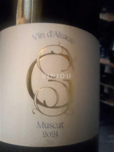 Alsace Not Specified C.G 2024