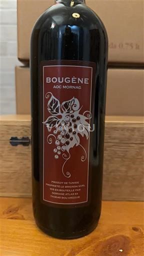 Tunis Mornag Bougène 2008