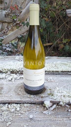 Bourgogne Santenay Premier Cru Domaine Guy Fouquerand Les Commes 2023